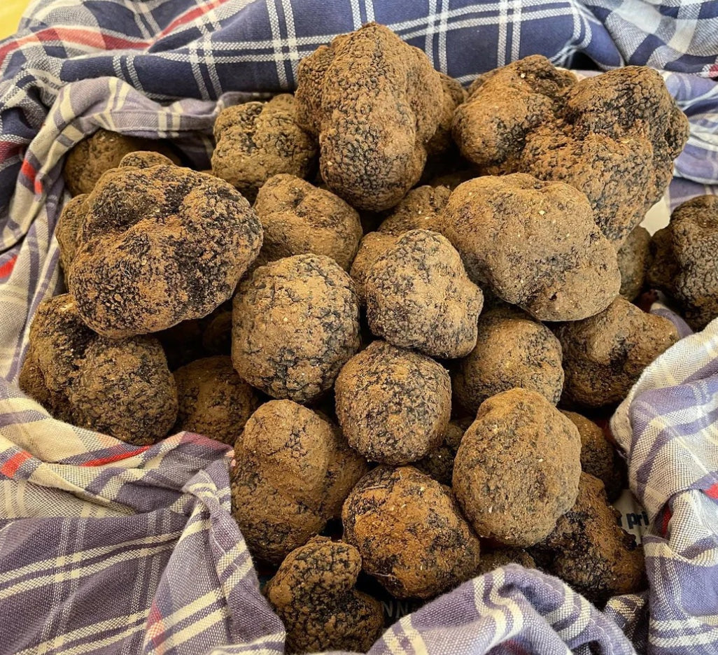 Švieži juodieji žieminiai trumai (Tuber Melanosporum Vittadini)