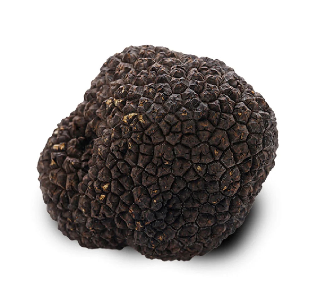 Švieži juodieji vasariniai trumai (Tuber Aestivum Vittadini)