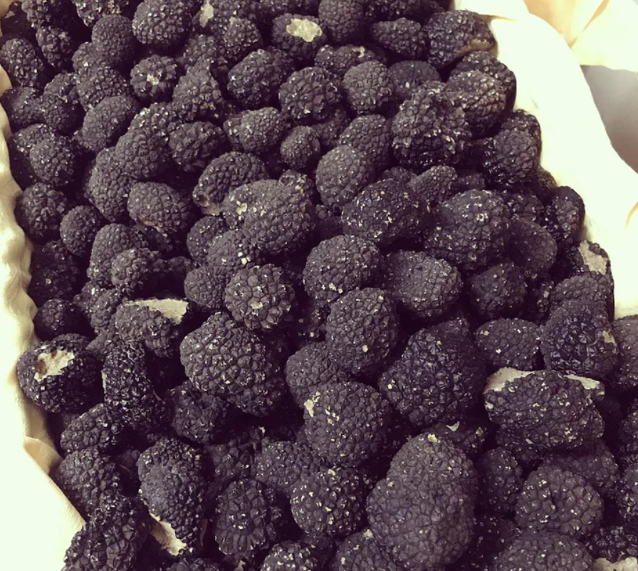 Švieži juodieji vasariniai trumai (Tuber Aestivum Vittadini)