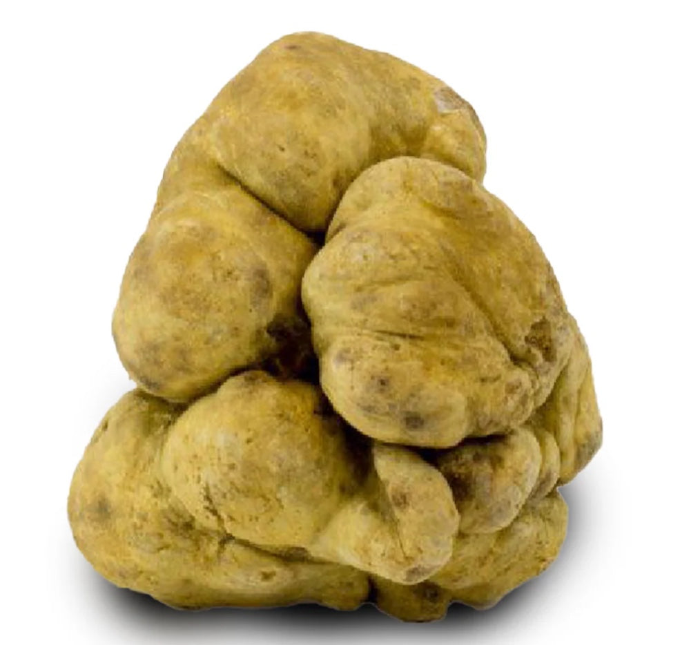 Švieži baltieji žiemos trumai (Tuber Magnatum Pico)
